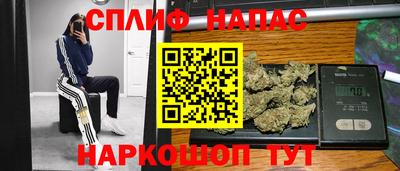 a pvp Ставрополь
