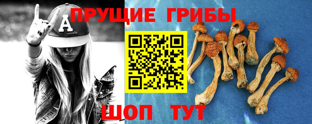 Псилоцибиновые грибы MAGIC MUSHROOMS Большой Камень
