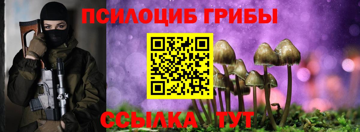 купить наркоту  Вход с VPN  Большой Камень  Галлюциногенные грибы Psilocybe 