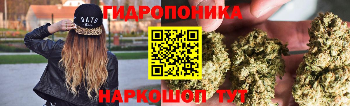 МАРИХУАНА план  Вход с VPN  Большой Камень  Конопля гибрид  Каннабис гибрид 